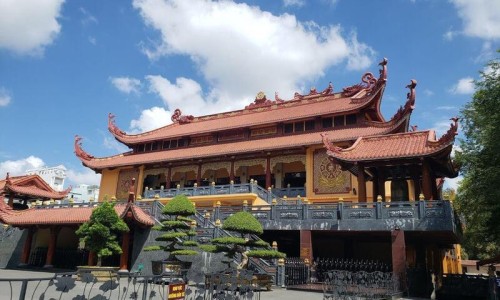 长四季豆的树是什么树-四季豆和长豆的区别-长四季豆种,中国长四季豆怎么做好吃法网站