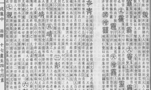 长四季豆的树是什么树-四季豆和长豆的区别-长四季豆种,中国长四季豆怎么做好吃法网站