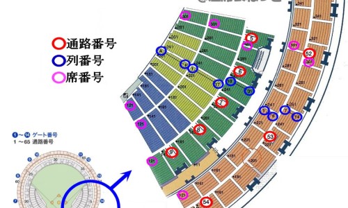 长四季豆的树是什么树-四季豆和长豆的区别-长四季豆种,中国长四季豆怎么做好吃法网站