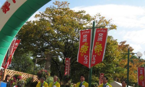 四季豆怎么吃才营养-四季豆和长豆的区别-长四季豆种,中国长四季豆怎么做好吃法网站